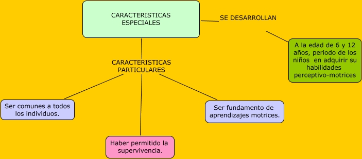Caracteristicas Especiales PDF